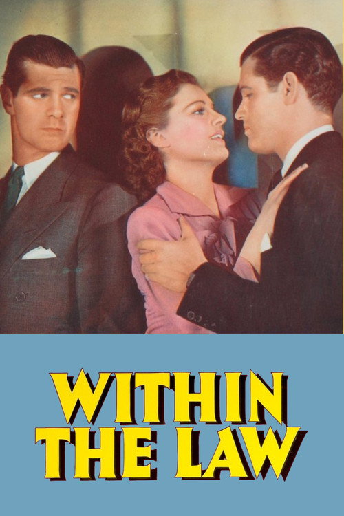 Within the Law poster