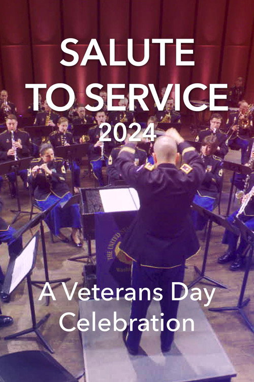 Salute to Service 2024: A Veterans Day Celebration poster