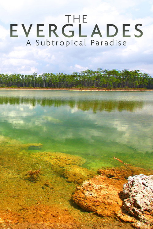 National Parks Exploration Series: The Everglades poster