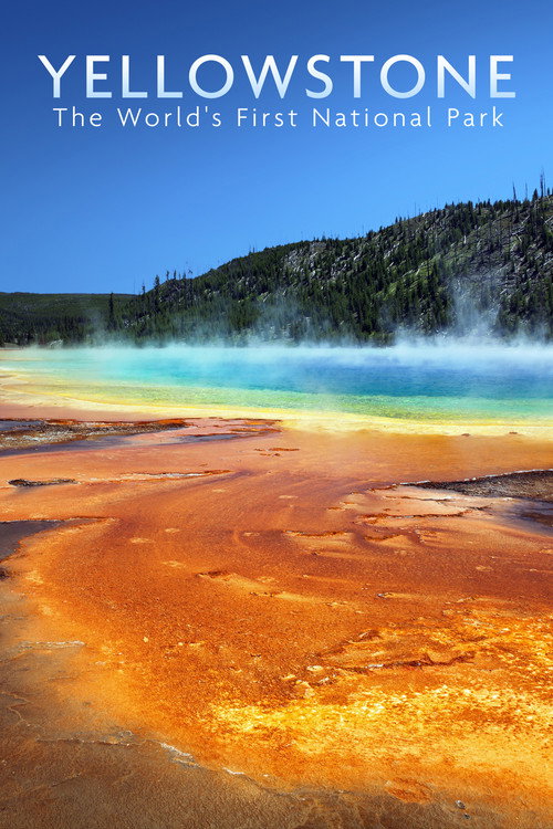 National Parks Exploration Series: Yellowstone poster
