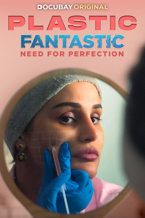 Plastic Fantastic: Need for Perfection poster