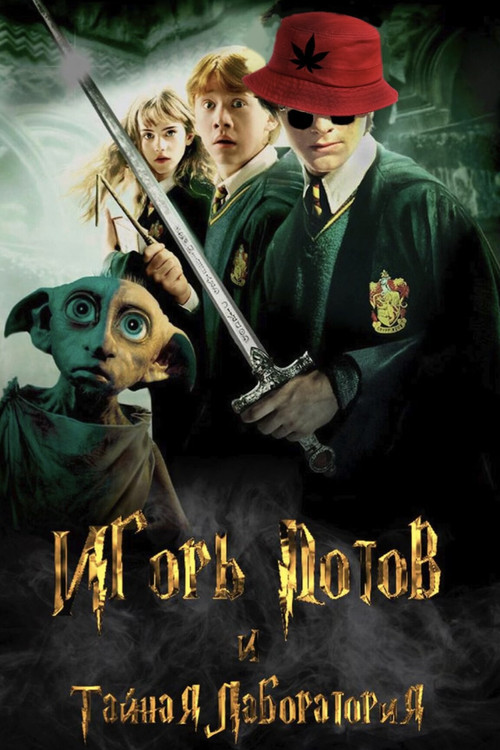 Игорь Потов и Тайная лаборатория poster
