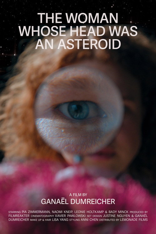 THE WOMAN WHOSE HEAD WAS AN ASTEROID poster