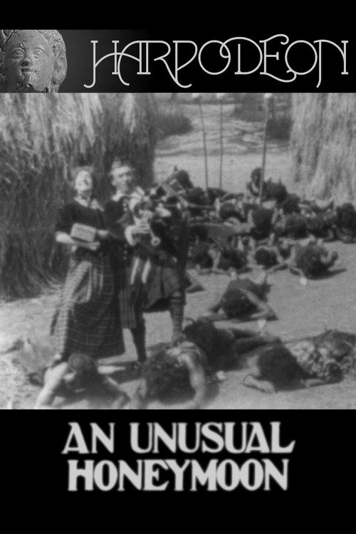 An Unusual Honeymoon poster