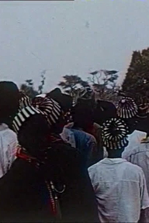 Réjouissances sénégalaises poster