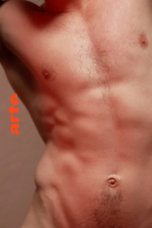 The Hidden Buttock of the Male Nude poster
