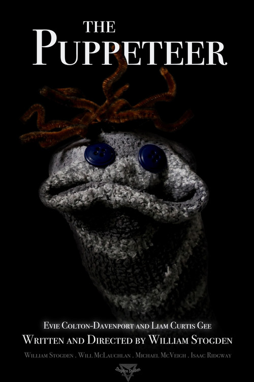 The Puppeteer poster