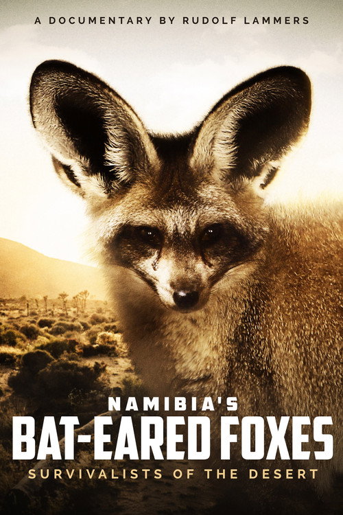 Namibia's Bat-eared Foxes: Survivalists of the Desert poster