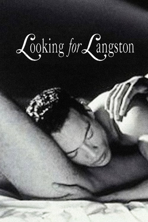 Looking for Langston poster