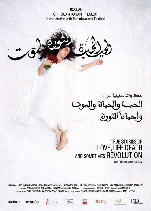 True Stories of Love, Life, Death and Sometimes Revolution poster