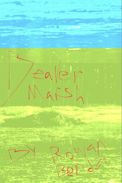 Beaver Marsh poster