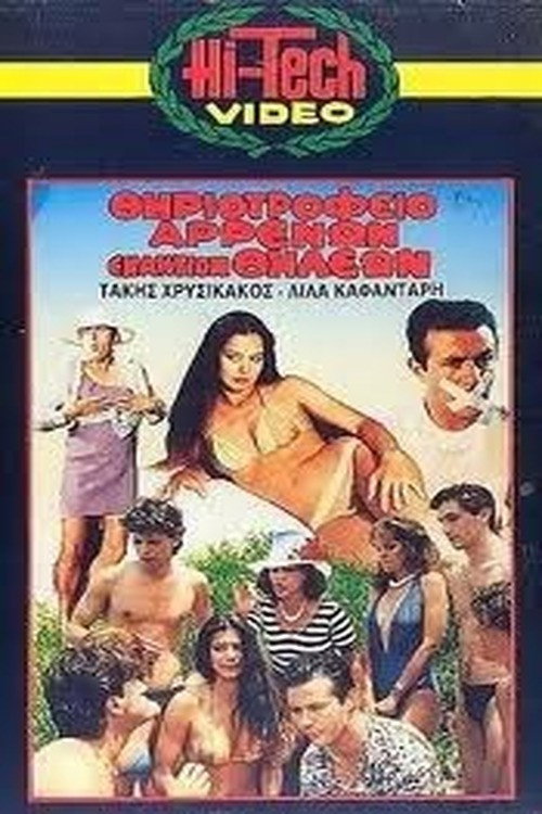 Menagerie boys against girls poster