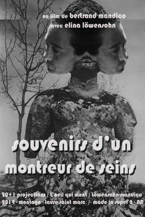 Memories of a Boobs Flasher poster