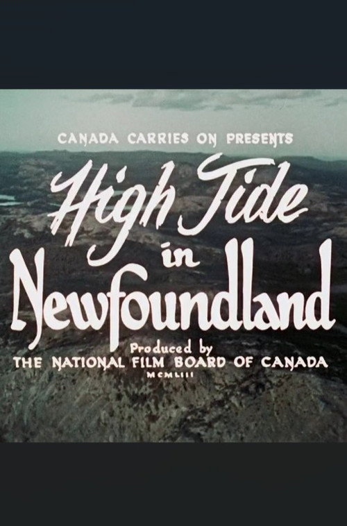 High Tide in Newfoundland poster