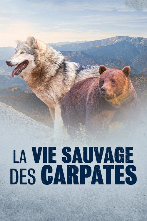 La Vie sauvage des Carpates poster