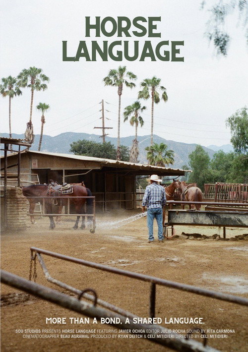 Horse Language poster