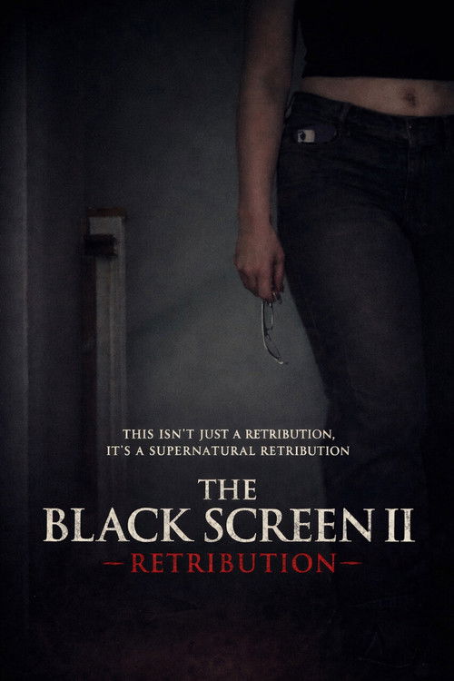 The Black Screen II - Retribution poster