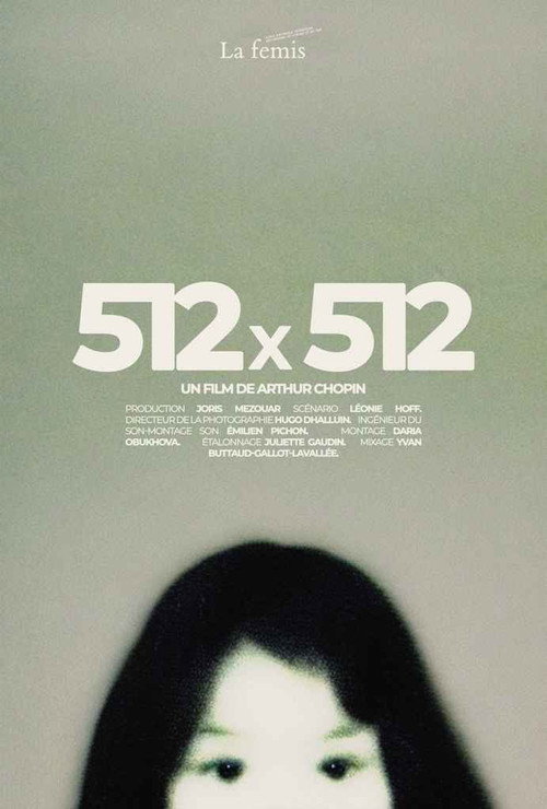 512X512 poster
