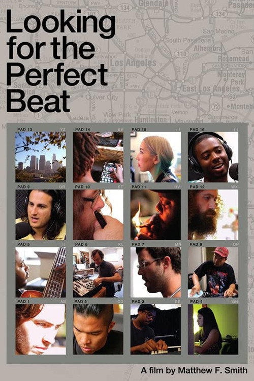 Looking for the Perfect Beat poster