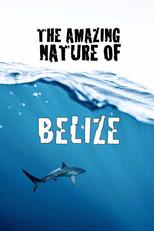 The Amazing Nature of Belize poster