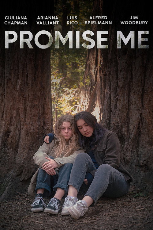 Promise Me poster
