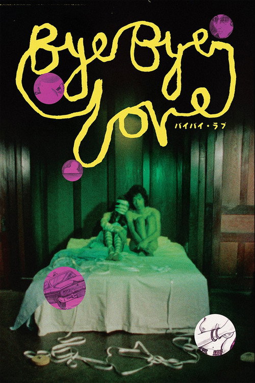 Bye Bye Love poster
