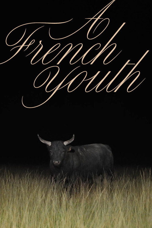 A French Youth poster