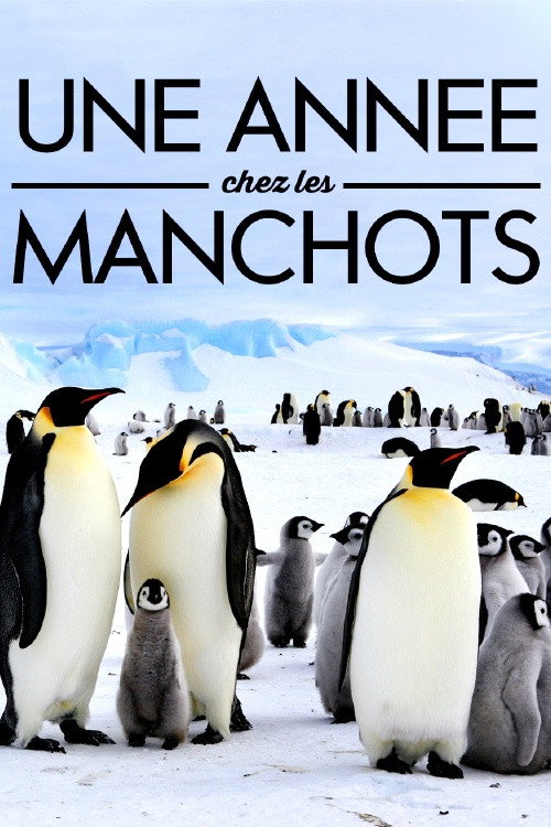 A Year With the Penguins poster