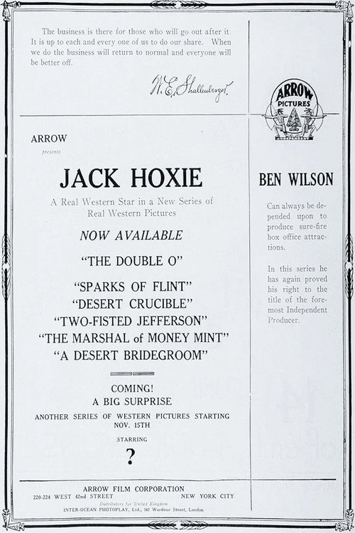 The Desert Bridegroom poster
