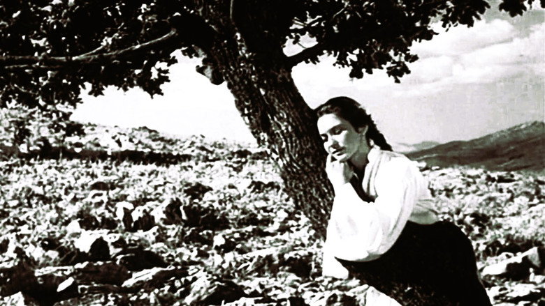 The Girl and the Oak still 1