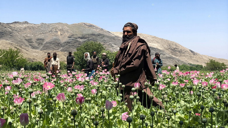 Afghanistan's Opium Trail still 3
