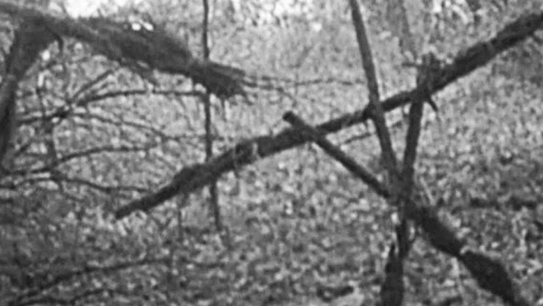 The Blair Witch Project still 4