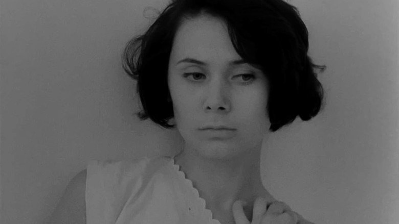 Conscience still 8