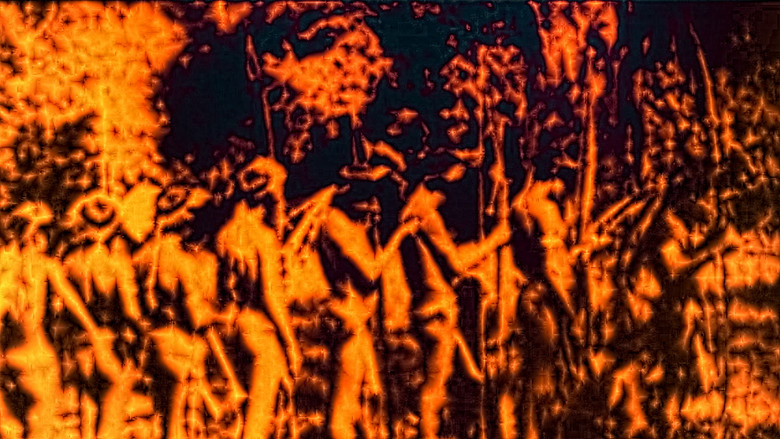 A conquista da floresta still 2
