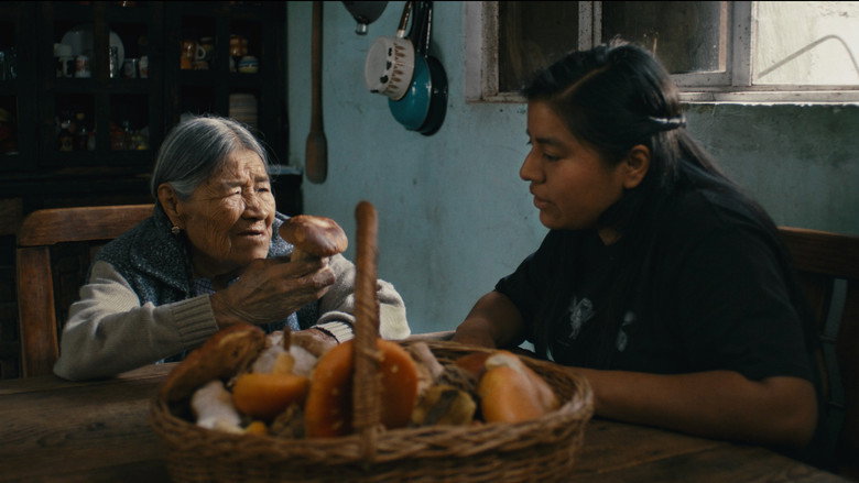 Daughters of the Forest still 1