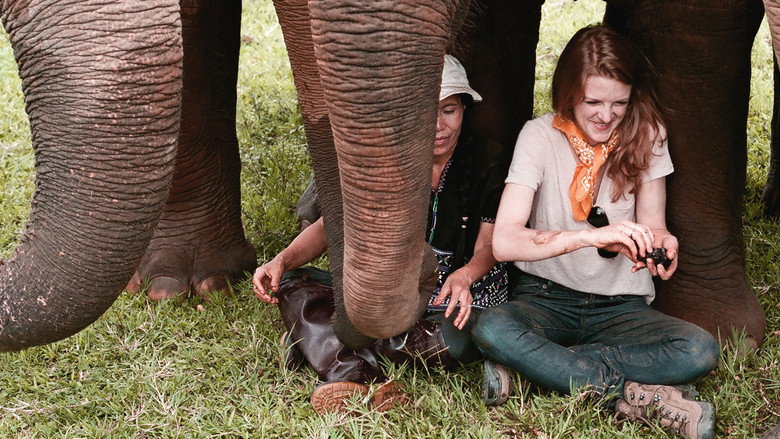 Love & Bananas: An Elephant Story still 6