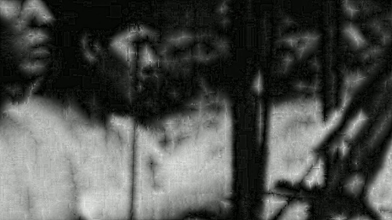 A conquista da floresta still 4