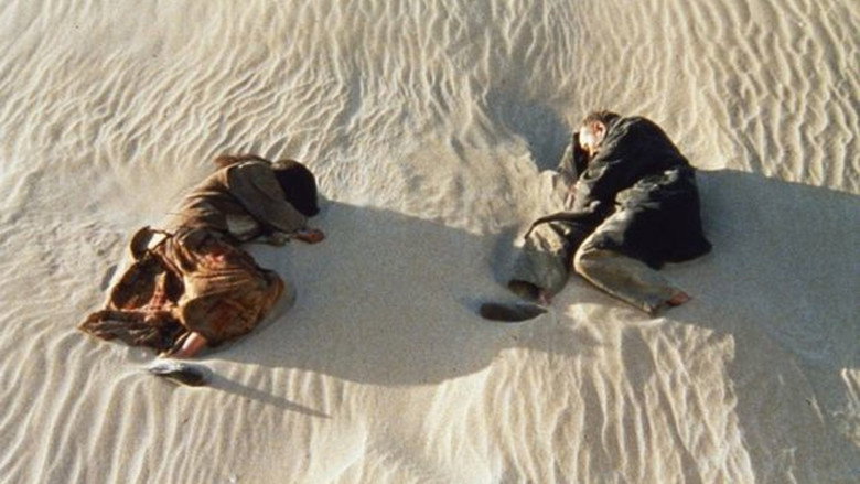 Freedom still 1