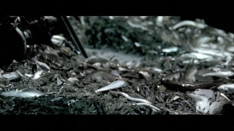Nachtwake still 1