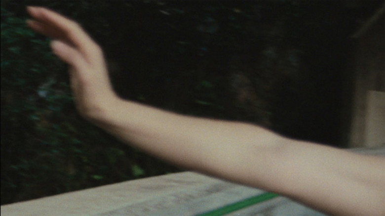 Zi still 3