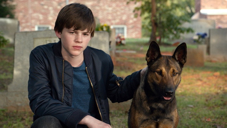 Max still 4