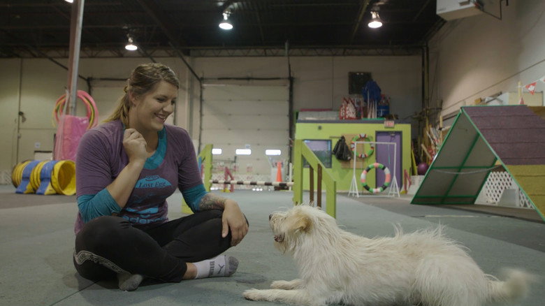 Dogsville still 1