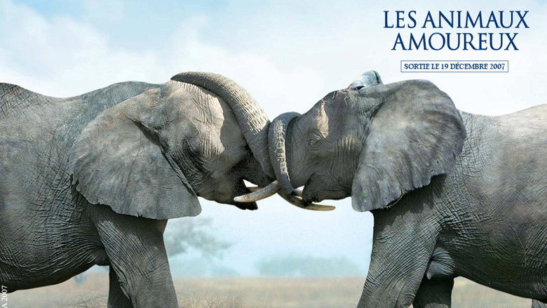 Animals in Love still 1