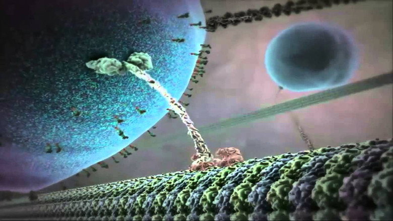 The Inner Life of the Cell still 1