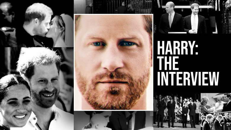 Harry: The Interview still 1