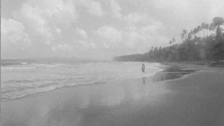 When the Waves Are Gone still 8