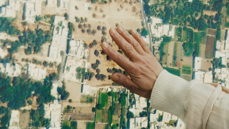 The Orchards still 3