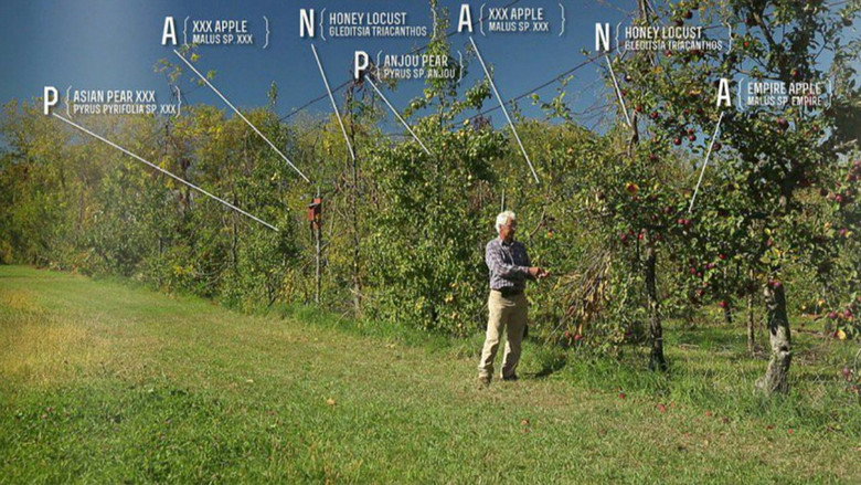 The Permaculture Orchard: Beyond Organic still 1