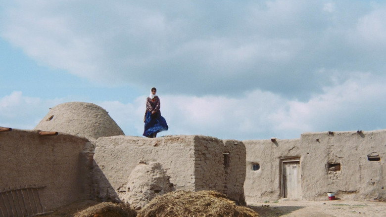 The Road still 7