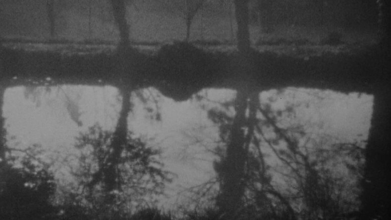 Vampyr still 3